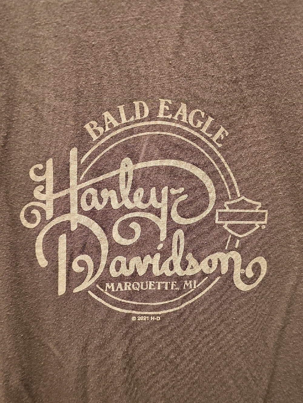 Harley-Davidson Lace-Up Eagle Graphic Tee - Grey - Picture 3 of 3